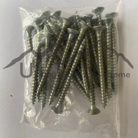 WOOD SCREW (25 Pcs)