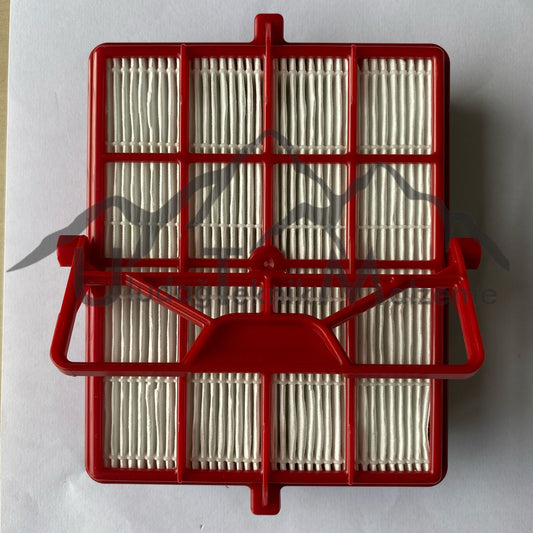 ELECTROLUX RED NAIL FILTER